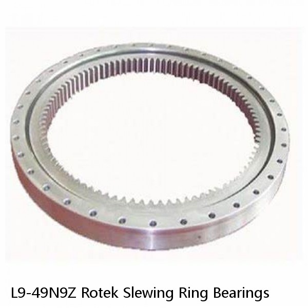 L9-49N9Z Rotek Slewing Ring Bearings