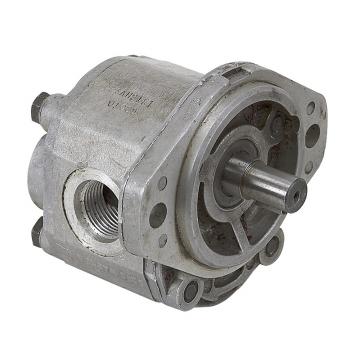 Stainless steel 316 AC220V magnetic gear pump/ac magnetic drive micro gear pump adjustable drive gear pump