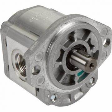 xroth Hydraulic Pumps A7vo107dr/60L-Ppb01 A7vo55/80/107/160/250hydraulic Motor Direct From Factory with Best Price