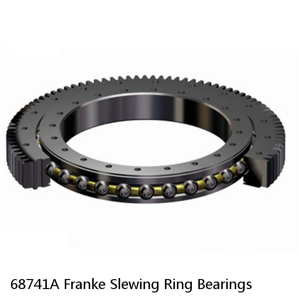 68741A Franke Slewing Ring Bearings #1 small image