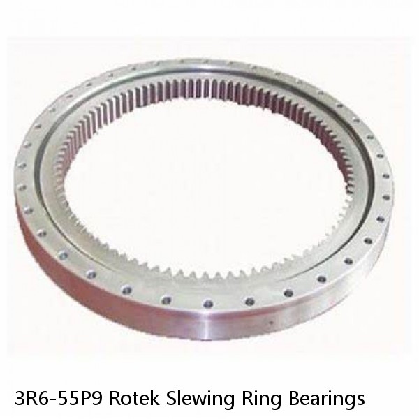 3R6-55P9 Rotek Slewing Ring Bearings #1 small image