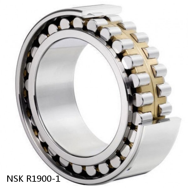 R1900-1 NSK CYLINDRICAL ROLLER BEARING #1 small image