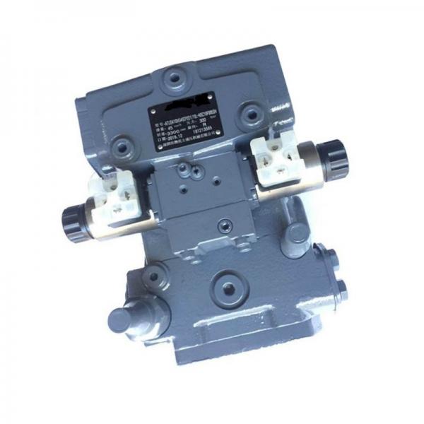 A10vg Hydraulic Pump for Excavator #1 image