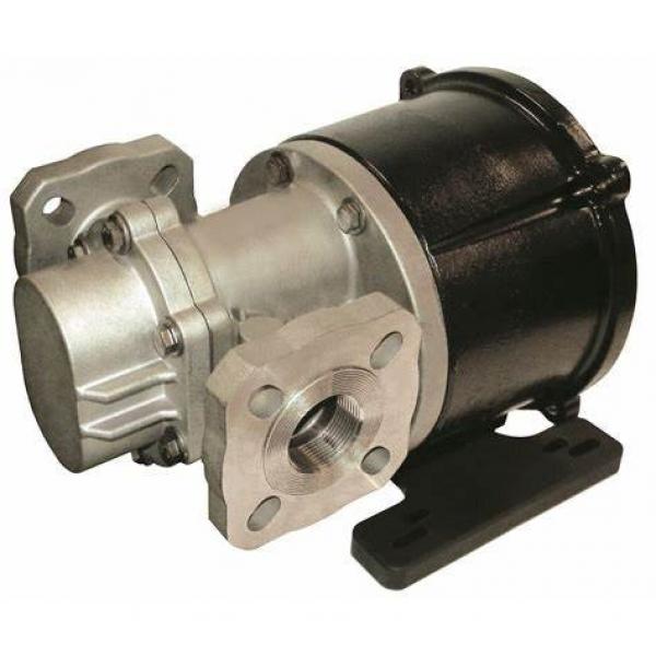Rexroth A11VLO190LRDU2 Hydraulic Oil Pump Hydraulic gear pump #1 image