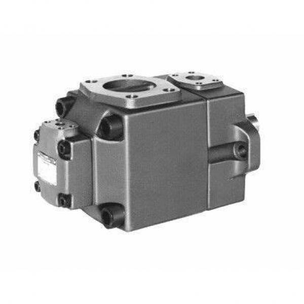 Replacement Cartridge Kits for Yuken Vane Pump #1 image