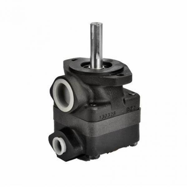 Blince-Hydraulic PV2r Series Double Vane Pump #1 image