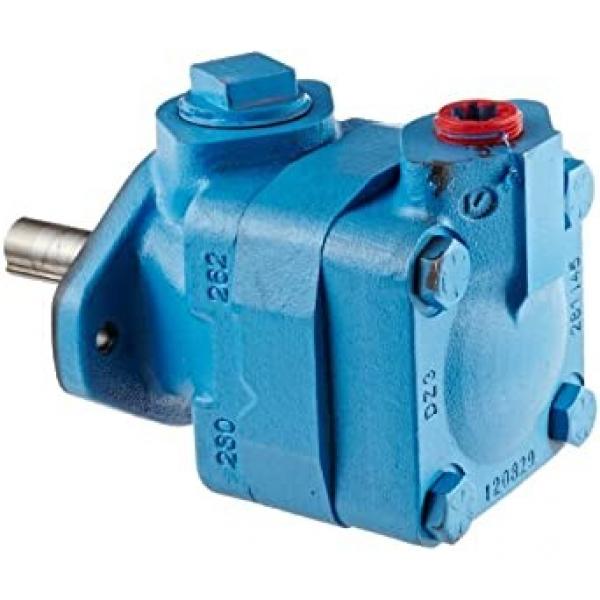 V20 Series Hydraulic Vane Pump #1 image