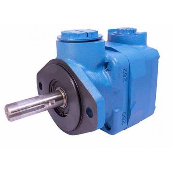 Vickers 25vq Vane Pump/Hydraulic V20 Pump/20V Pump Cartridge Kit #1 image