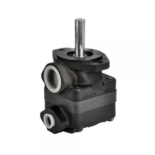 Vickers 25vq Vane Pump/Hydraulic V20 Pump/20V Pump Cartridge Kit #1 image