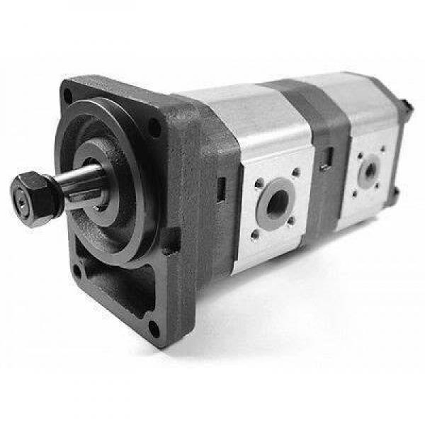 Rexroth Uchida A10VD17 A10VD28 A10VD43 hydraulic pump spare parts #1 image