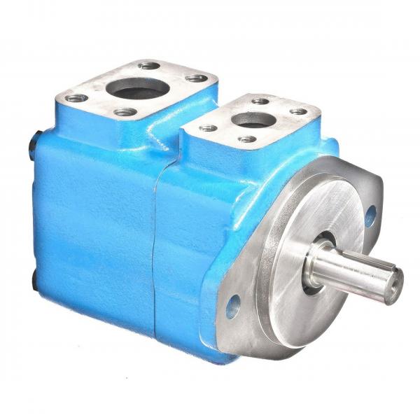 Hydraulic Vane Pump - V10*-**3*-**20 Vane Steering Pump #1 image