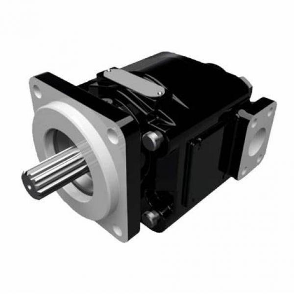 Parker PGP620 High Pressure Cast Iron Gear Pump 7029210007 #1 image