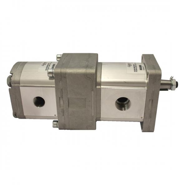 Best Choice for Polyurethane Foam Injection Machine Polyamide Adhesive Metering Gear Pump #1 image