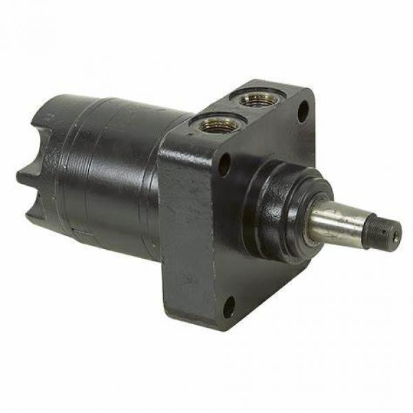 Blince Ok200cc Hydraulic Orbit Motor From China Motor Manufacture #1 image