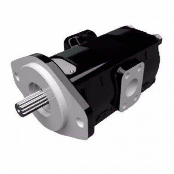 Hydraulic Gear Pump as Replacement Parker Commerical Pgp51 Single Gear Pump #1 image