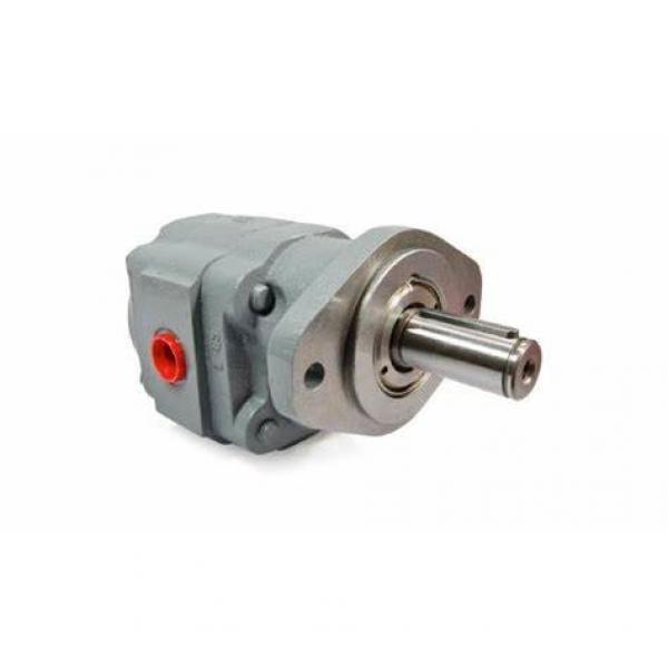 Hydraulic Gear Pump as Replacement Parker Commercial Pgp365, P365 Single Gear Pump #1 image