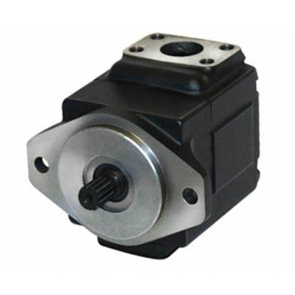 Hydraulic Gear Pump as Replacement Parker Commercial Pgp315, P315 Single Gear Pump #1 image