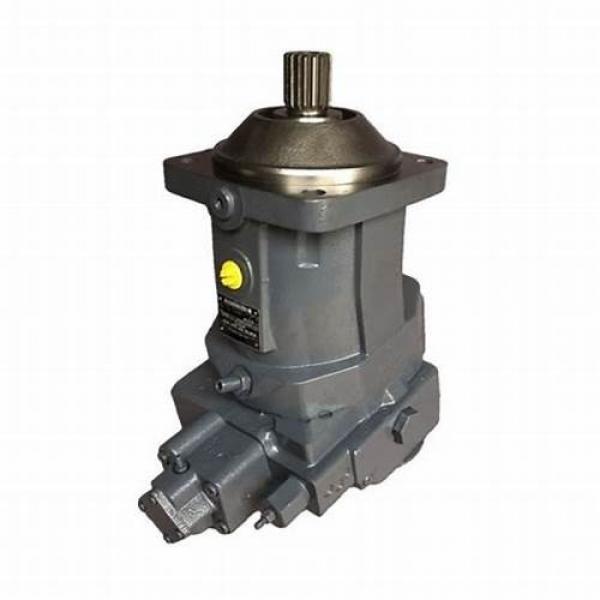 Excavator Parts Hydraulic Pump Hydraulic Motor for Rexroth A7vo107 #1 image