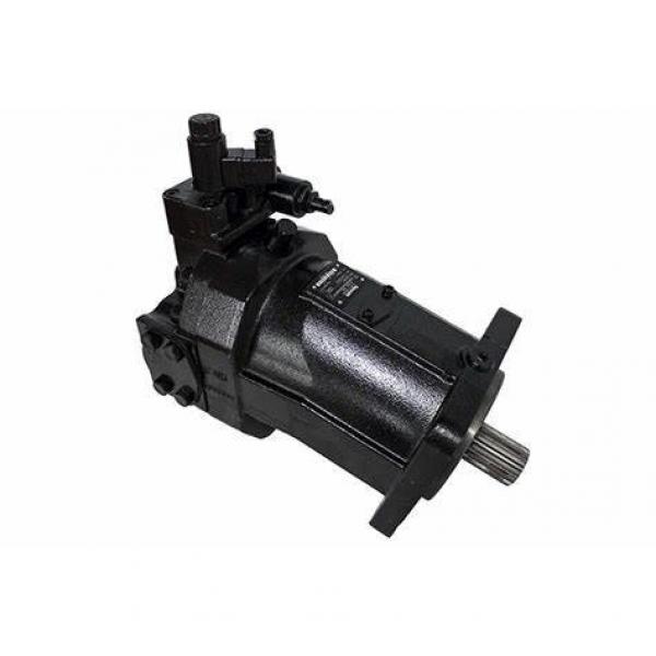 Rexroth A4FO series hydraulic plunger pump A4FO22 A4FO28 A4FO45 A4F022 A4F028 A4F045 A4F071 A4FO71 A4F125 A4F180 #1 image
