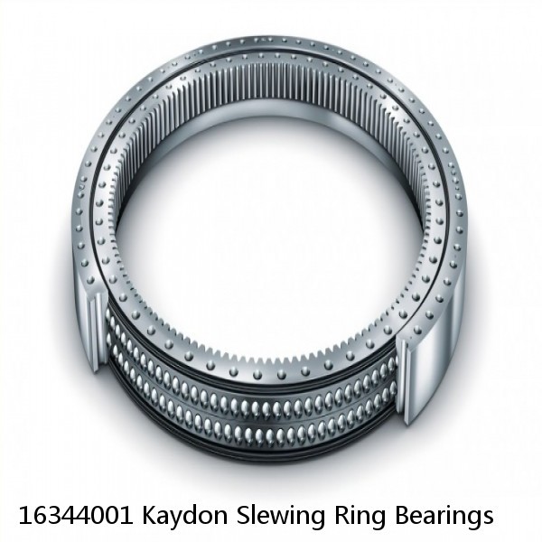 16344001 Kaydon Slewing Ring Bearings #1 image