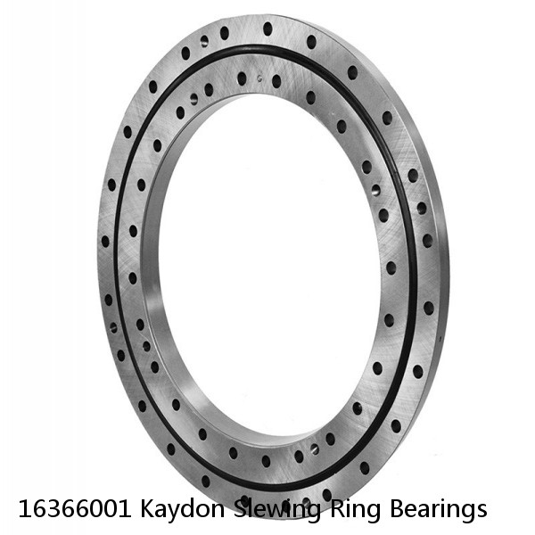 16366001 Kaydon Slewing Ring Bearings #1 image