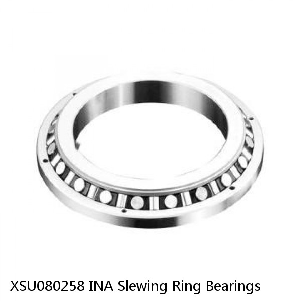 XSU080258 INA Slewing Ring Bearings #1 image